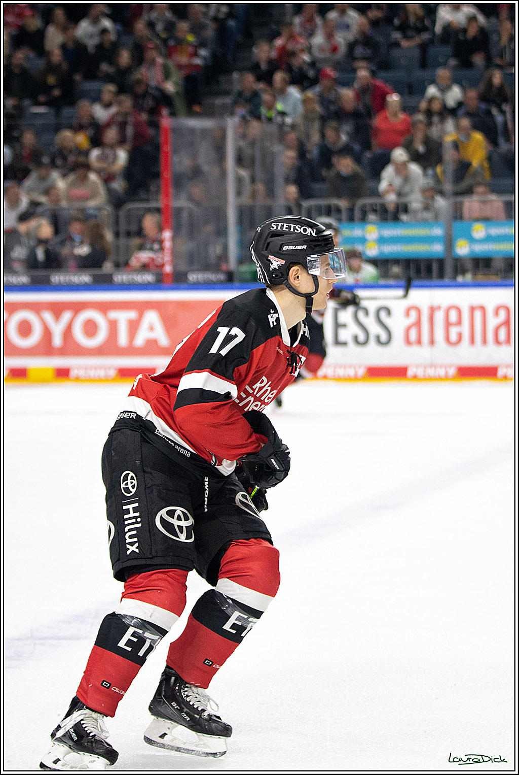 PENNY DEL; Koelner Haie- Bietigheim Steelers; Koeln, 19.11.2021